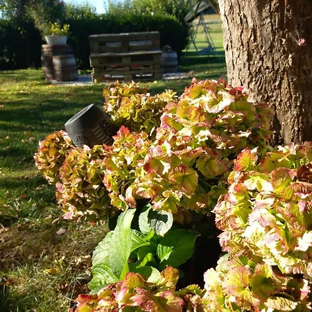 Waldhaeusl Oberrosenauerwald