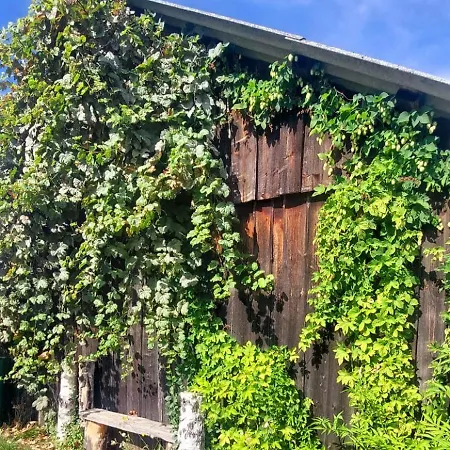 Waldhaeusl Apartament